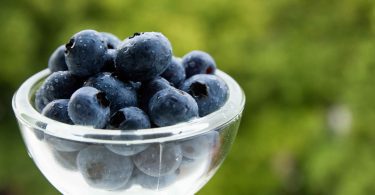 Closeup shot of blueberries in a glass bowl for the concept of Blueberry Allergy.