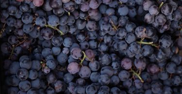 A picture of grapes that can cause grape allergy in sensitive people.
